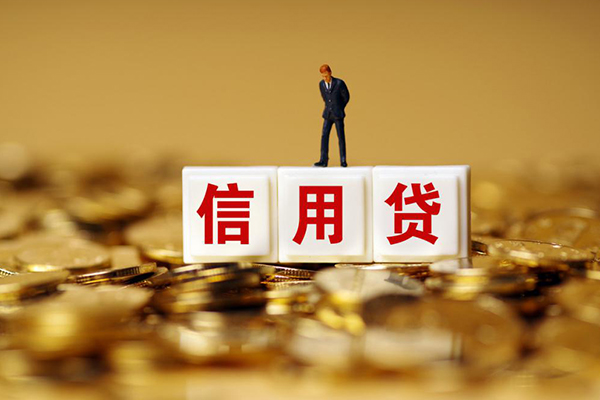 成都郫都小额信用贷款